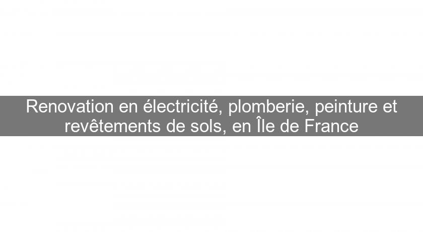Renovation en électricité, plomberie, peinture et revêtements de sols, en Île de France Renovation en électricité, plomberie, peinture et revêtements de sols, en Île de France