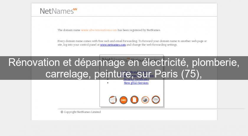 Rénovation et dépannage en électricité, plomberie, carrelage, peinture, sur Paris (75), Rénovation et dépannage en électricité, plomberie, carrelage, peinture, sur Paris (75),