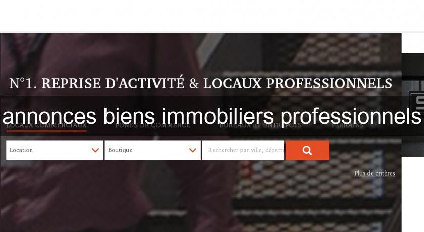 annonces biens immobiliers professionnels annonces biens immobiliers professionnels