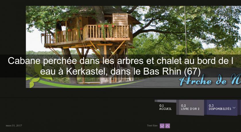 Cabane perchée dans les arbres et chalet au bord de l'eau à Kerkastel, dans le Bas Rhin (67) Cabane perchée dans les arbres et chalet au bord de l'eau à Kerkastel, dans le Bas Rhin (67)