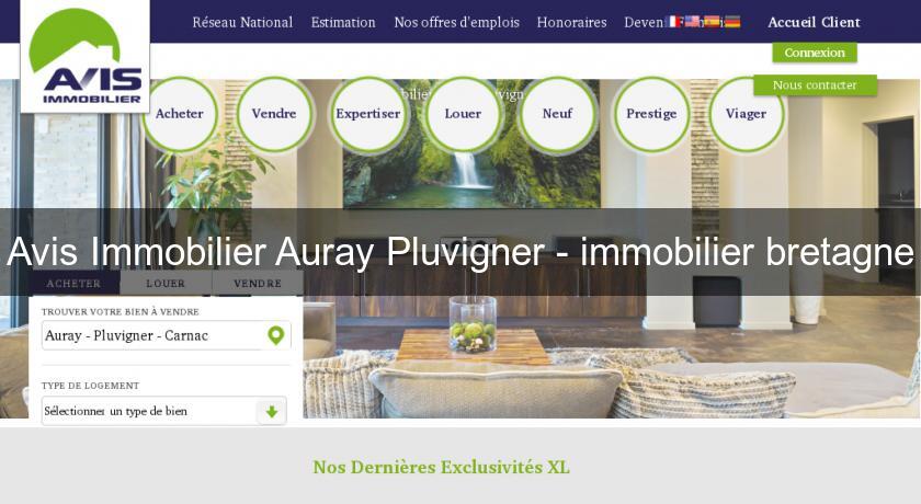 Avis Immobilier Auray Pluvigner - immobilier bretagne Avis Immobilier Auray Pluvigner - immobilier bretagne