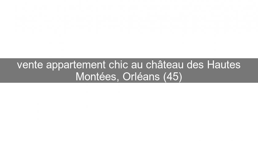 vente appartement chic au château des Hautes Montées, Orléans (45) vente appartement chic au château des Hautes Montées, Orléans (45)
