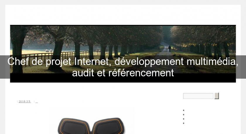 Chef de projet Internet, développement multimédia, audit et référencement Chef de projet Internet, développement multimédia, audit et référencement