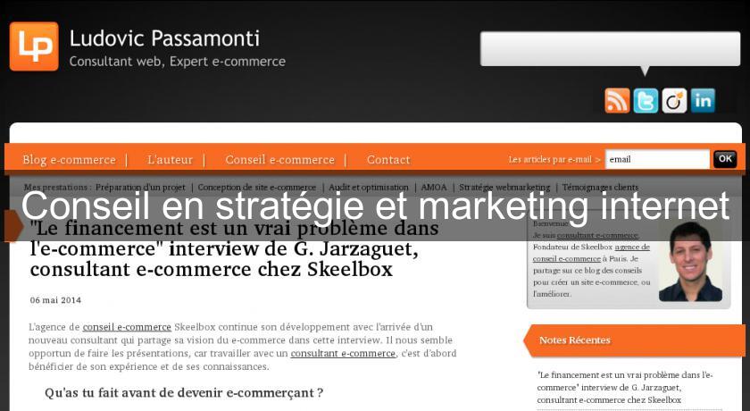 Conseil en stratégie et marketing internet Conseil en stratégie et marketing internet