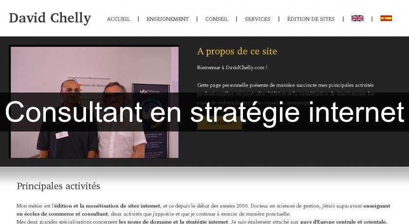 Consultant en stratégie internet Consultant en stratégie internet