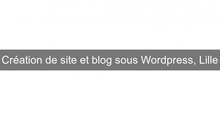 Création de site et blog sous Wordpress, Lille Création de site et blog sous Wordpress, Lille