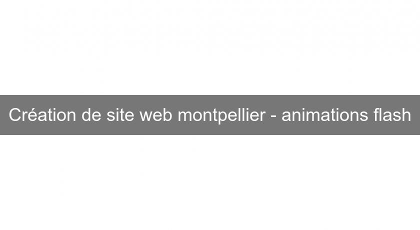 Création de site web montpellier - animations flash Création de site web montpellier - animations flash