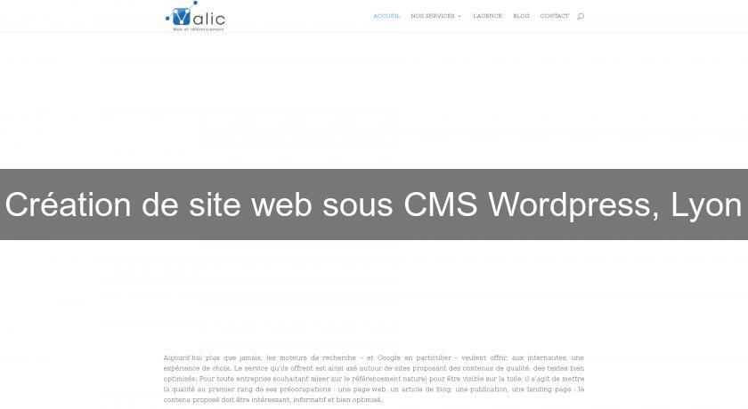 Création de site web sous CMS Wordpress, Lyon Création de site web sous CMS Wordpress, Lyon