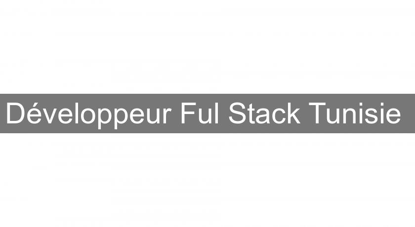 Développeur Ful Stack Tunisie Développeur Ful Stack Tunisie