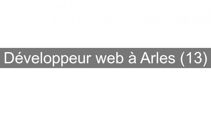 Développeur web à Arles (13) Développeur web à Arles (13)