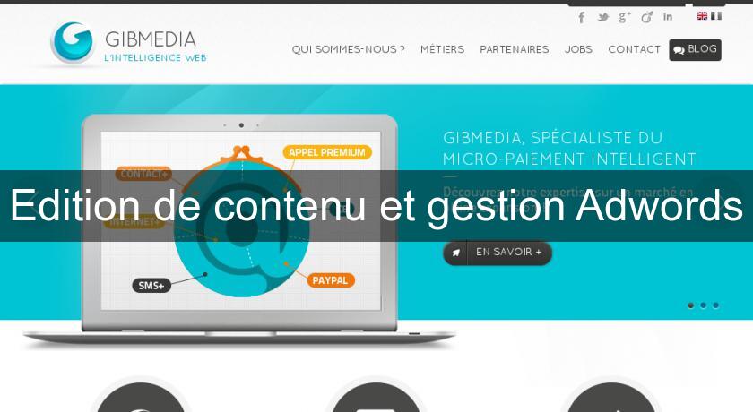Edition de contenu et gestion Adwords Edition de contenu et gestion Adwords