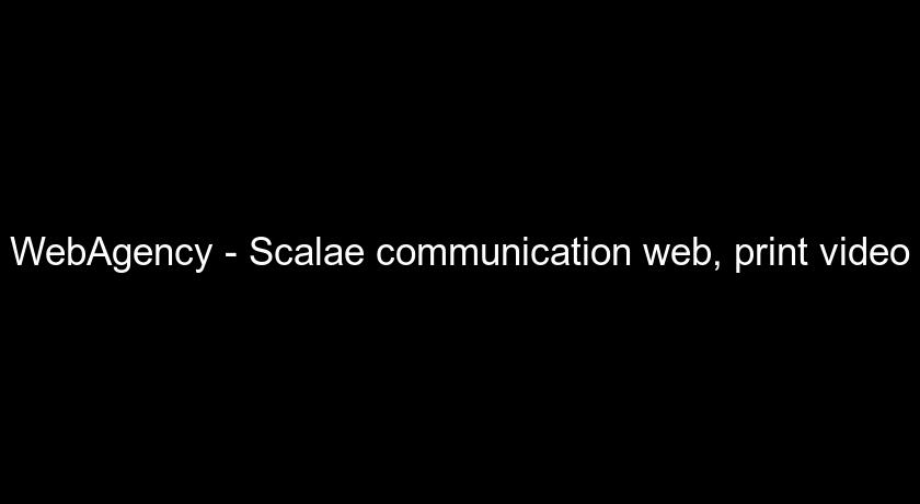 WebAgency - Scalae communication web, print video WebAgency - Scalae communication web, print video