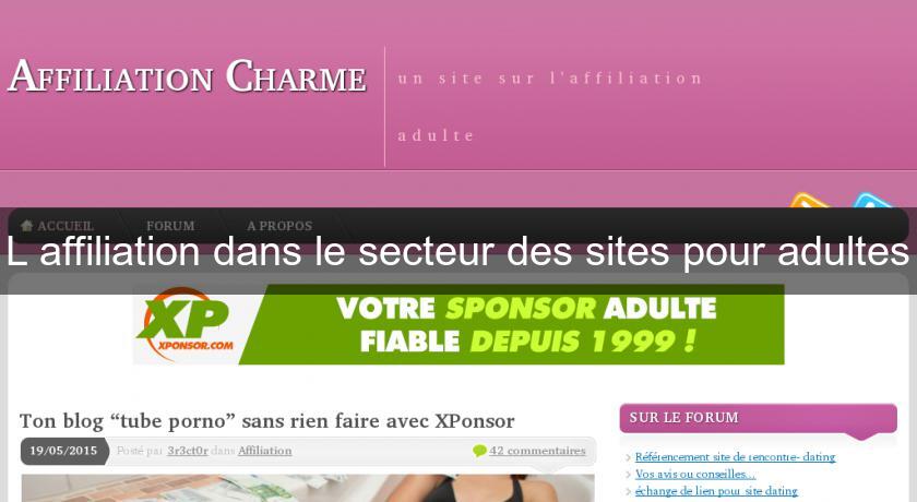 L'affiliation dans le secteur des sites pour adultes L'affiliation dans le secteur des sites pour adultes