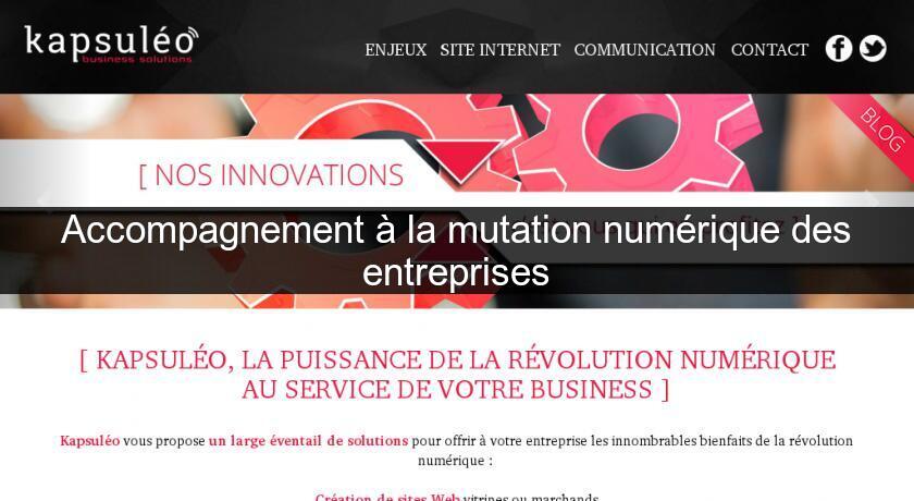Accompagnement à la mutation numérique des entreprises Accompagnement à la mutation numérique des entreprises