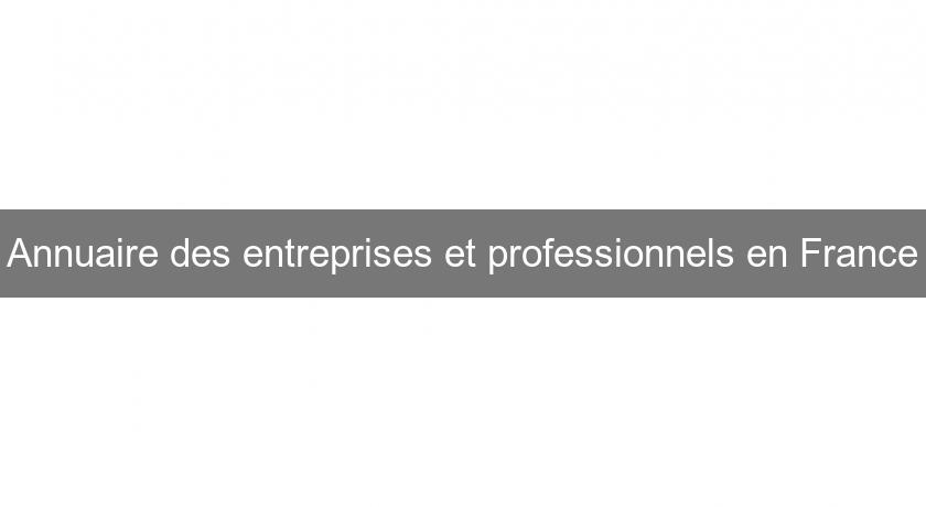 Annuaire des entreprises et professionnels en France Annuaire des entreprises et professionnels en France