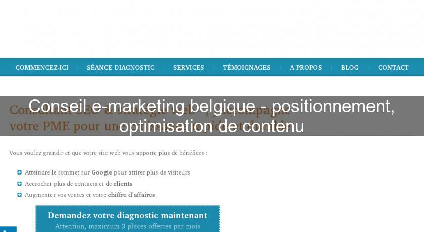Conseil e-marketing belgique - positionnement, optimisation de contenu Conseil e-marketing belgique - positionnement, optimisation de contenu