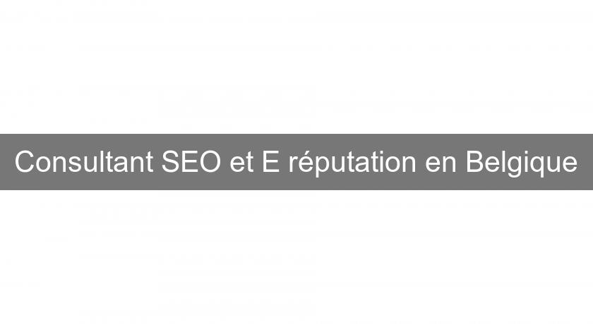 Consultant SEO et E réputation en Belgique Consultant SEO et E réputation en Belgique
