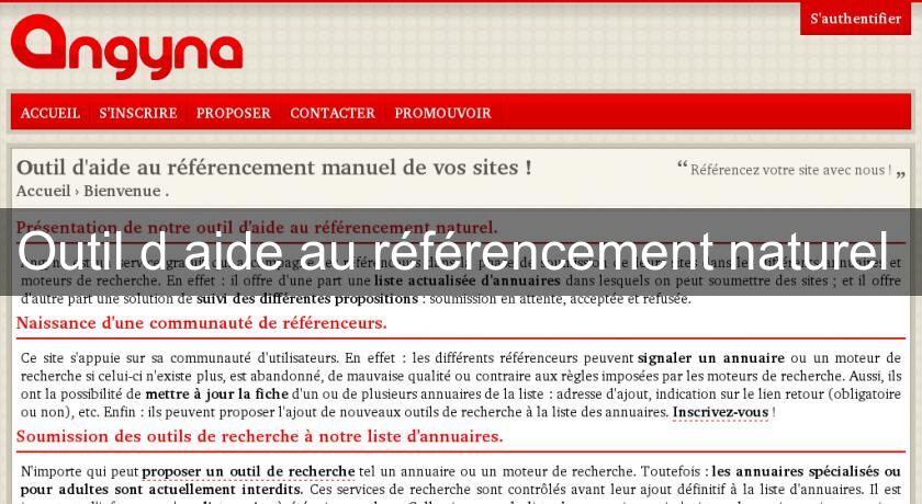 Outil d'aide au référencement naturel Outil d'aide au référencement naturel