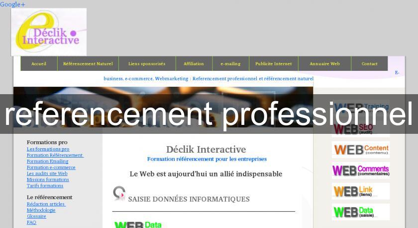 referencement professionnel referencement professionnel