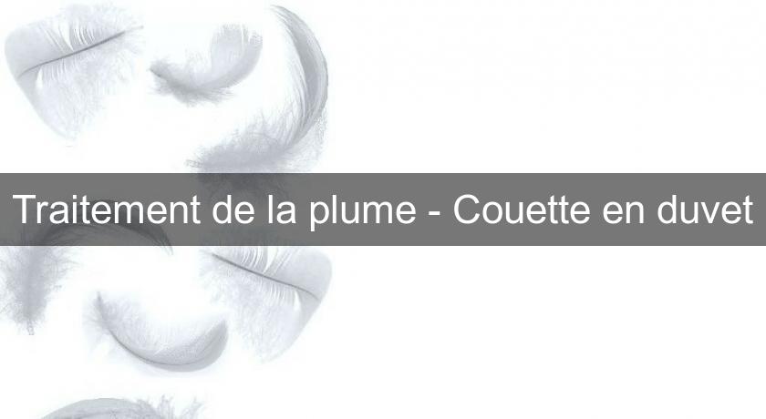 Traitement de la plume - Couette en duvet Traitement de la plume - Couette en duvet