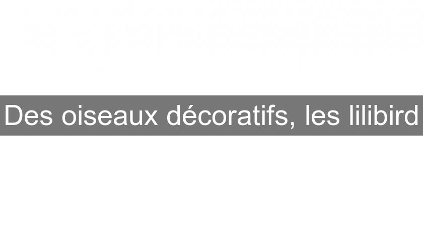 Des oiseaux décoratifs, les lilibird Des oiseaux décoratifs, les lilibird