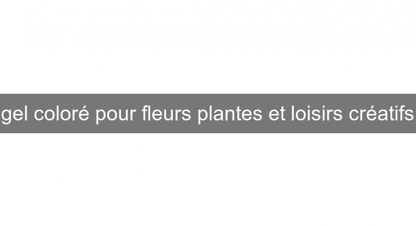 gel coloré pour fleurs plantes et loisirs créatifs gel coloré pour fleurs plantes et loisirs créatifs