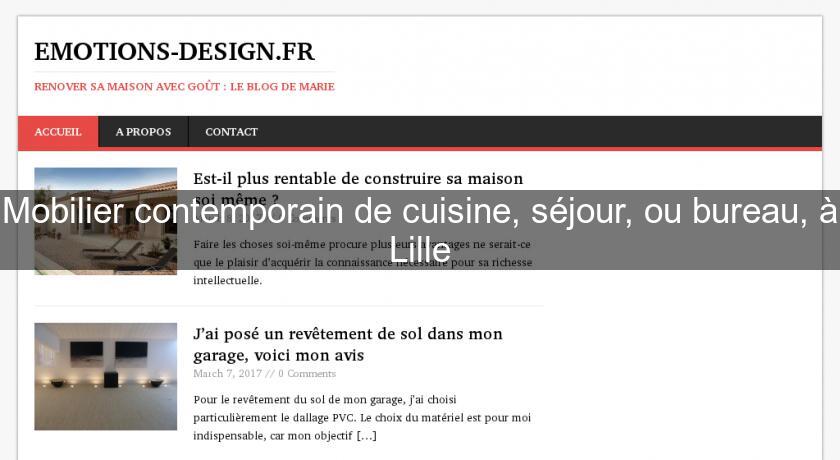 Mobilier contemporain de cuisine, séjour, ou bureau, à Lille Mobilier contemporain de cuisine, séjour, ou bureau, à Lille