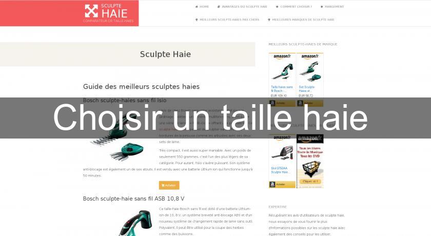 Choisir un taille haie Choisir un taille haie
