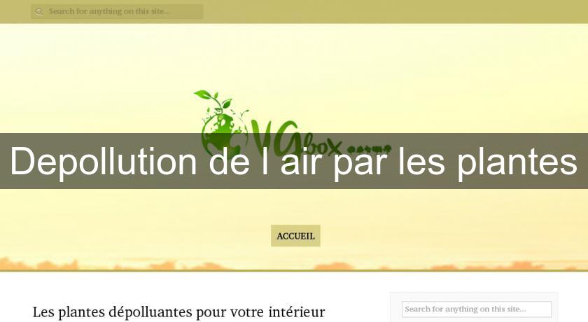 Depollution de l'air par les plantes Depollution de l'air par les plantes