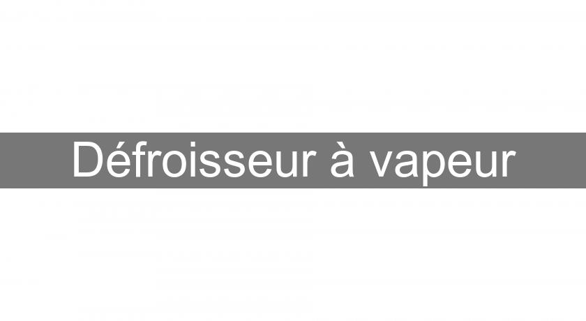Défroisseur à vapeur Défroisseur à vapeur