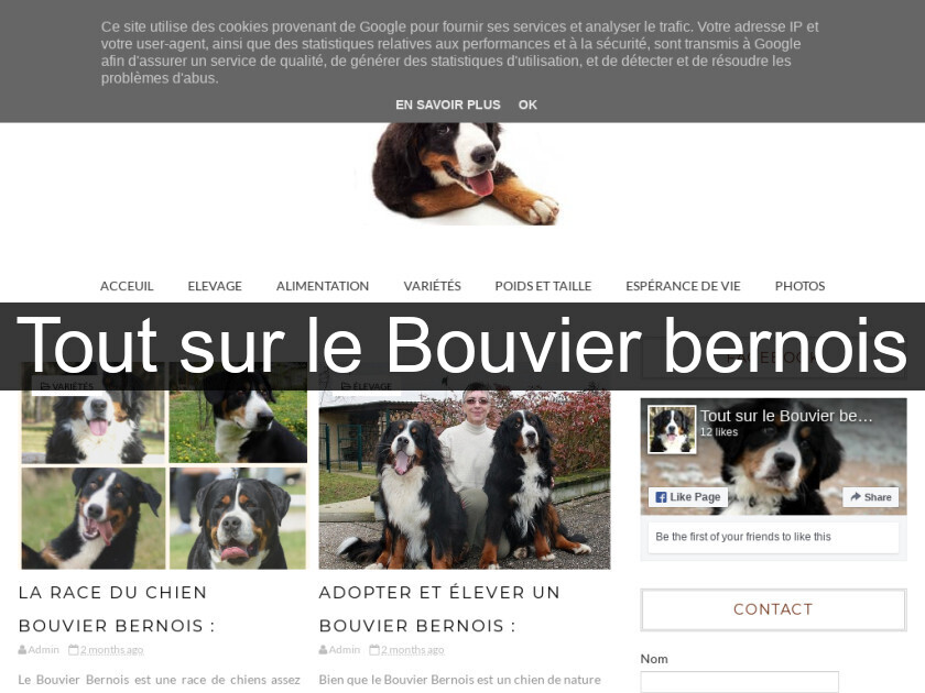 Tout sur le Bouvier bernois Tout sur le Bouvier bernois