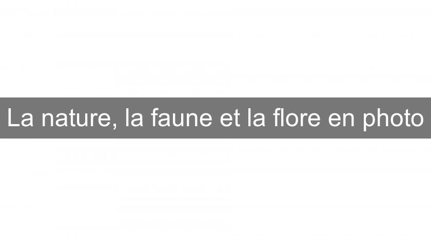 La nature, la faune et la flore en photo La nature, la faune et la flore en photo