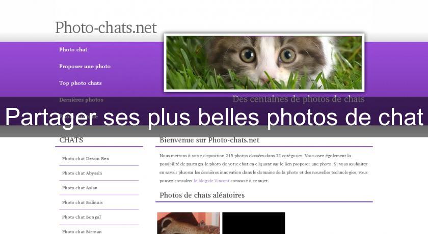 Partager ses plus belles photos de chat Partager ses plus belles photos de chat