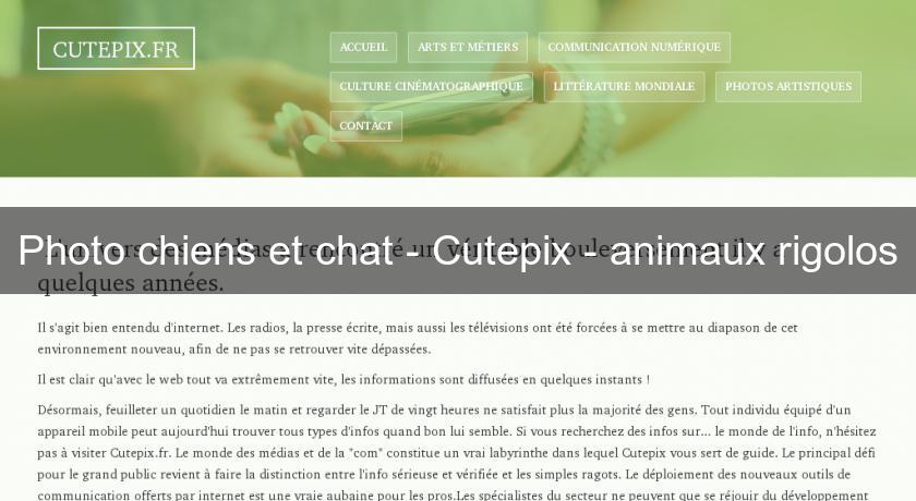 Photo chiens et chat - Cutepix - animaux rigolos Photo chiens et chat - Cutepix - animaux rigolos