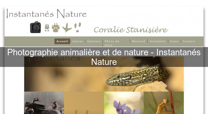 Photographie animalière et de nature - Instantanés Nature Photographie animalière et de nature - Instantanés Nature