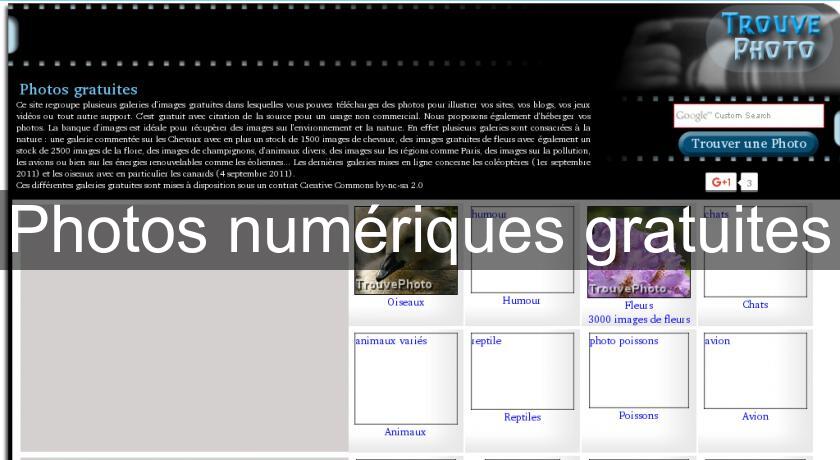 Photos numériques gratuites Photos numériques gratuites