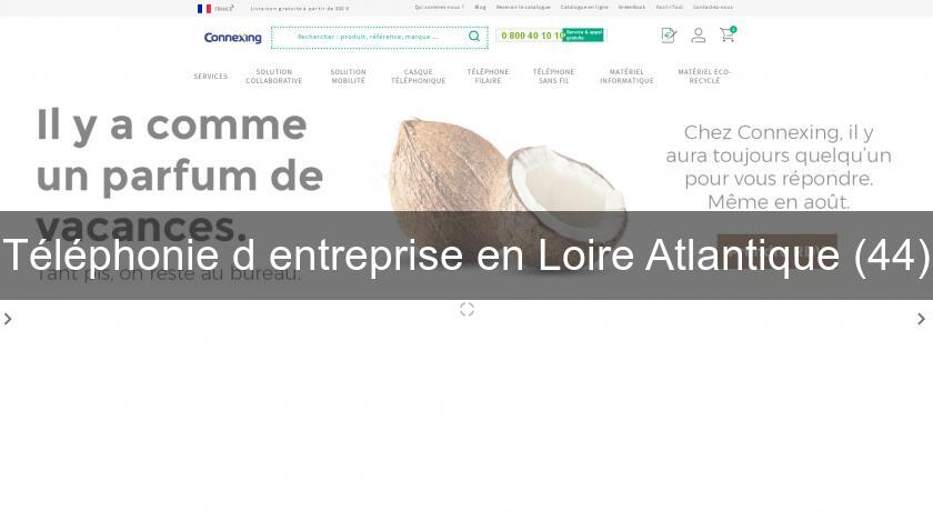 Téléphonie d'entreprise en Loire Atlantique (44) Téléphonie d'entreprise en Loire Atlantique (44)