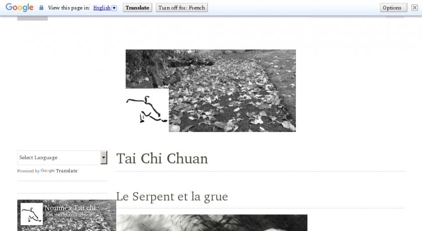 Cours de Tai chi en vidéo Cours de Tai chi en vidéo
