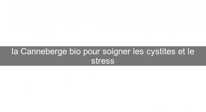 la Canneberge bio pour soigner les cystites et le stress la Canneberge bio pour soigner les cystites et le stress