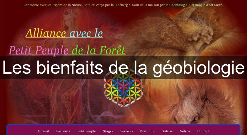 Les bienfaits de la géobiologie Les bienfaits de la géobiologie