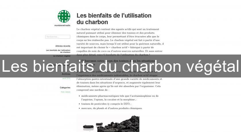 Les bienfaits du charbon végétal Les bienfaits du charbon végétal