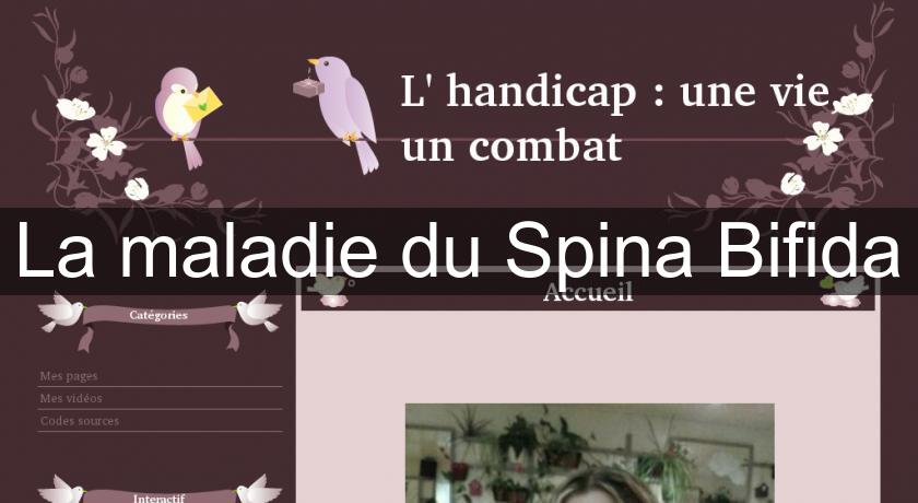 La maladie du Spina Bifida La maladie du Spina Bifida