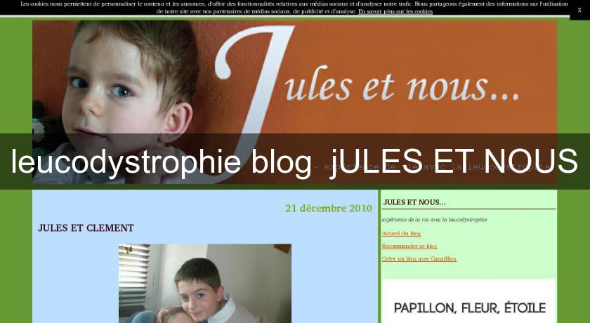 leucodystrophie blog jULES ET NOUS leucodystrophie blog jULES ET NOUS