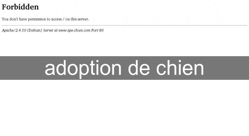 adoption de chien adoption de chien