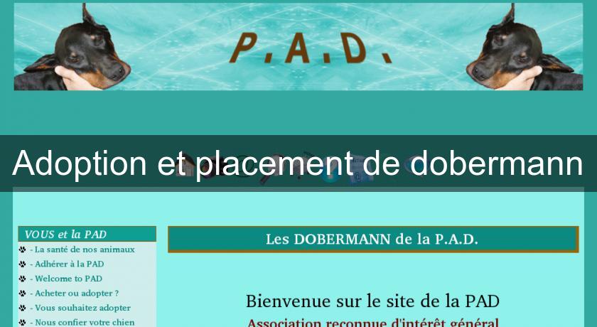 Adoption et placement de dobermann Adoption et placement de dobermann
