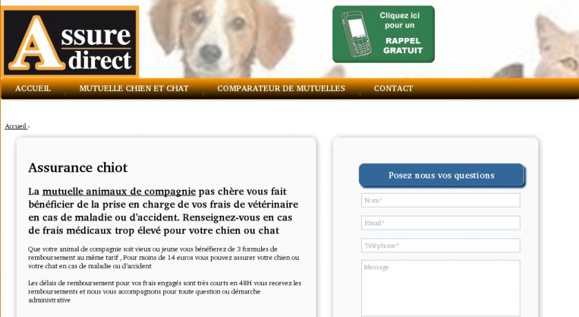 Assurance santé chien et chat Assurance santé chien et chat