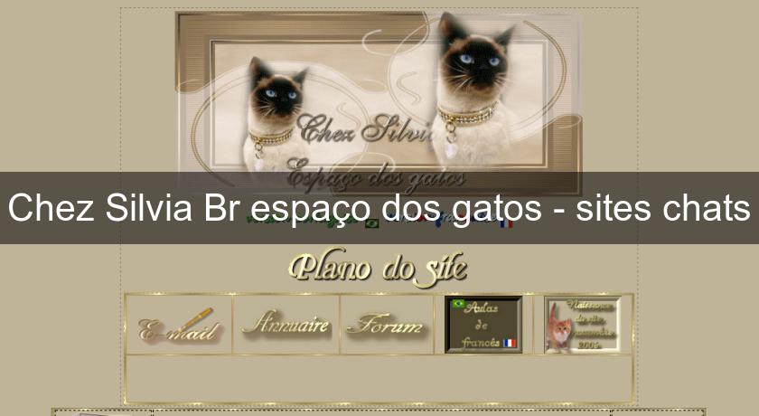 Chez Silvia Br espaço dos gatos - sites chats Chez Silvia Br espaço dos gatos - sites chats