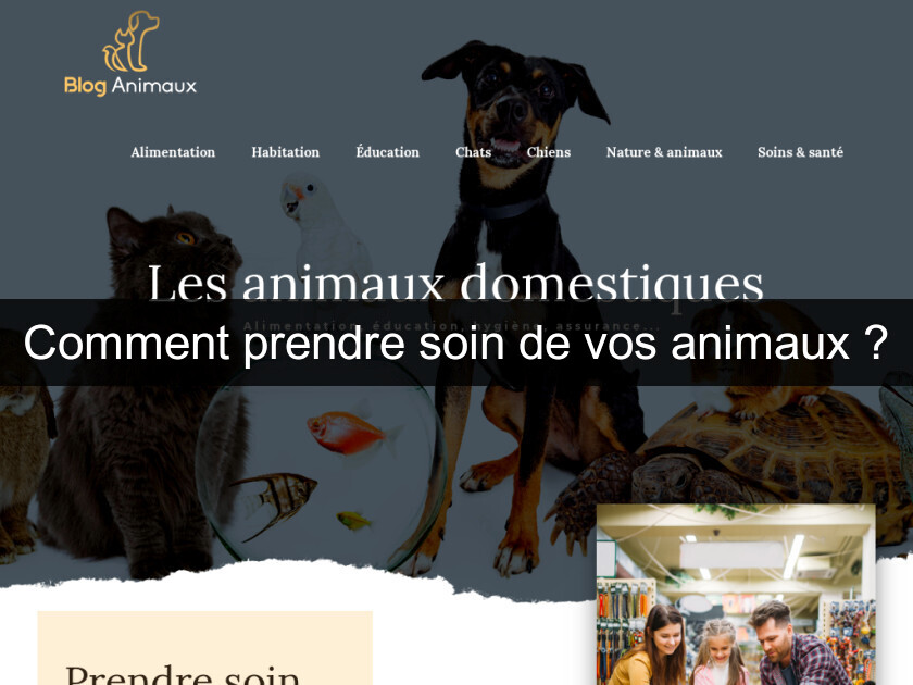 Comment prendre soin de vos animaux ? Comment prendre soin de vos animaux ?