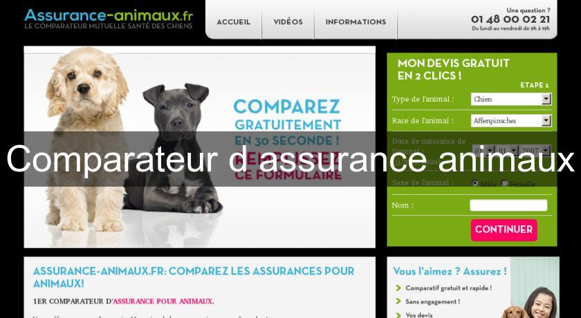 Comparateur d'assurance animaux Comparateur d'assurance animaux