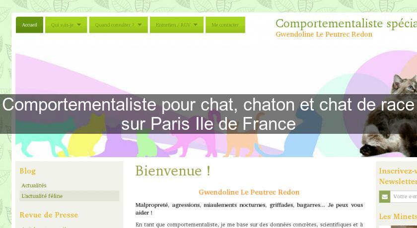 Comportementaliste pour chat, chaton et chat de race sur Paris Ile de France Comportementaliste pour chat, chaton et chat de race sur Paris Ile de France